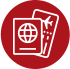 ICONO MIGRATORIO